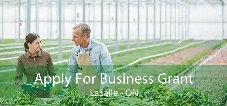 Apply For Business Grant LaSalle - ON